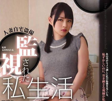 RBD-865維修工人偷偷安裝攝像頭趁欲求不滿的人妻波木遙在傢自慰時闖入強行內射